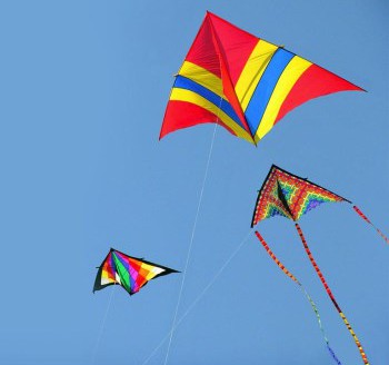 Kite-flying-on-lohri